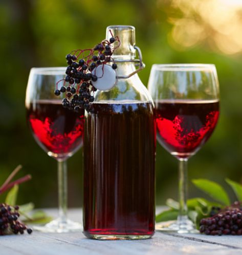 Elderberry Wine Homemade Wine Recipes, Elderberry Wine, Low Alcohol Drinks, Homemade Soda, Liqueurs Recipes, Homemade Wine, Elderberry Syrup, Bottle Corks, Wine Bottle Opener