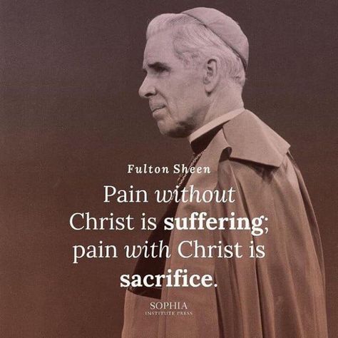 Bishop Sheen, Catholic Memes, Fulton Sheen, Catholic Beliefs, Saint Quotes Catholic, Saint Quotes, The Saints, Catholic Quotes, Catholic Prayers