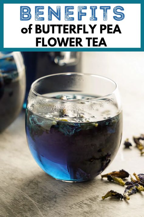 Butterfly Sweet Pea Tea Benefits, Benefits Of Butterfly Pea Tea, Blue Pea Flower Tea, Butterfly Blue Pea Flower, Blue Butterfly Pea Flower Benefits, Butterfly Pea Tea Benefits, Blue Pea Flower Recipes, Butterfly Pea Powder Recipes, Butterflypeaflower Tea