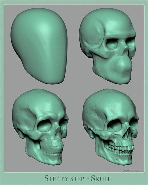 Anatomy Simplified Part 1, Glauco Longhi on ArtStation at https://www.artstation.com/artwork/L2GVyl Anatomy Simplified, Human Skull Anatomy, Zbrush Anatomy, Anatomy Studies, Skull Anatomy, Head Anatomy, Skull Reference, Facial Anatomy, Zbrush Character