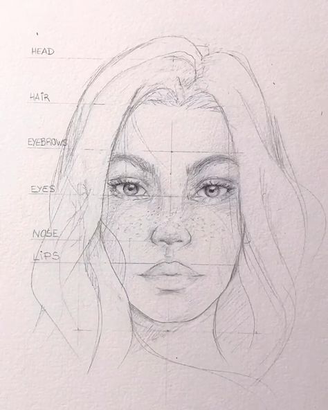 Sharing Inspiration Worldwide. on Instagram: “How to draw portraits using the loomis method❤️🙏🏼 💶 DM for low promo prices 💶  DM for credit/removal. Dont report❗️ Credit @cluengoart _…” Portrait Drawing Tutorial, Watercolor Blog, Drawing Tutorial Face, Watercolor Artists, Sketch Inspiration, Portrait Sketches, Art Drawings Sketches Creative, Art Drawings Sketches Simple, A Drawing