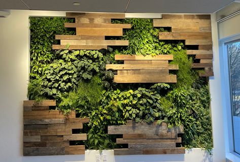 Green Walls - Parker Plants & Holiday Green Wall Plants, Living Wall Planter, Artificial Grass Wall, Garden Wall Designs, Indoor Plant Wall, Stone Wall Design, Hanging Plant Wall, Powder Room Design, Artificial Foliage