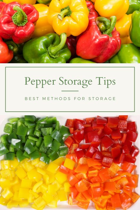 Best Way To Store Peppers, Storing Peppers, How To Store Green Peppers, Store Peppers, How To Can Peppers, How To Preserve Bell Peppers, How To Preserve Peppers, How To Store Bell Peppers, How To Store Jalapeno Peppers