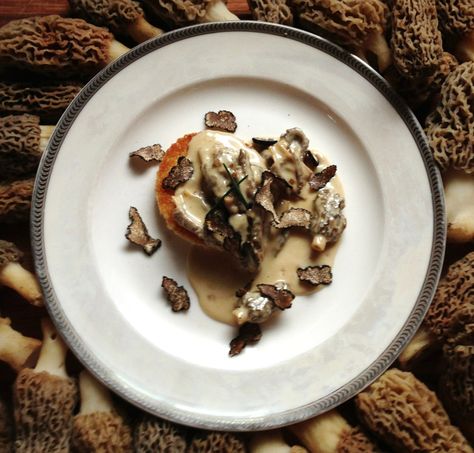 Morels a la normade recipe with black truffle Black Truffle Recipe, Morel Recipes, Wild Mushroom Recipes, Truffle Recipes, Black Truffles, Summer Truffle, Wild Mushroom, Truffle Recipe, Black Truffle