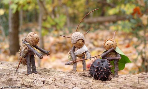 Acorn Men Crafts, Acorn People Diy, Acorn Critters, Acorn Figures, Pinecone People, David Bird, Plant Creatures, Acorn People, Animals In Nature