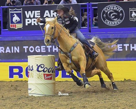 Hailey Kinsel, Barrel Racing Photos, Fallon Taylor, Barrel Racing Horses, Palomino Horse, Barrel Horse, Barrel Racer, Breyer Horses, Barrel Racing