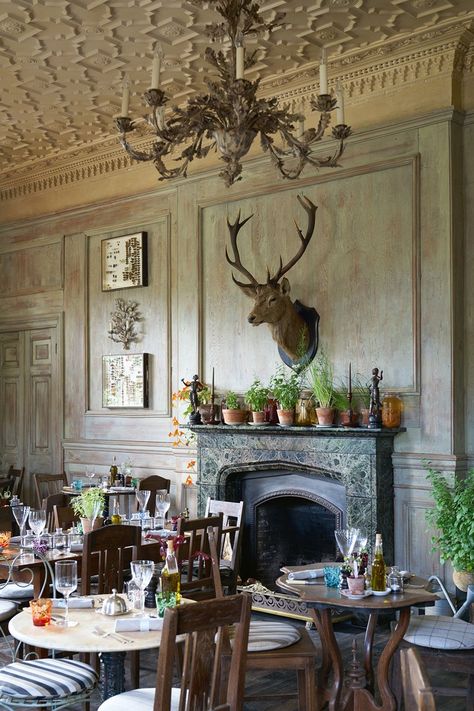 The Dining Room Deer Antler Chandelier Dining Room, Wildlife Chandelier, Chandelier With Deer Stag, The Pig Hotel, Snooker Room, Gothic Revival Architecture, Country Dining, Country House Interior, Victorian Buildings