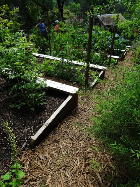 Sloped Vegetable Garden, Vegetable Garden On A Slope, Terraced Vegetable Garden, Sloped Backyard Landscaping, Garden Boxes Raised, Hillside Garden, Tiered Garden, Backyard Garden Landscape, Garden On A Hill