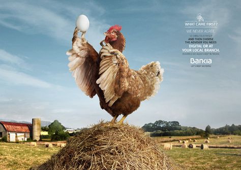 Bankia Print Advert By CLV: Chicken - Egg | Ads of the World™ Egg Advertising Design, Egg Advertising, Chicken Poster, Teaching Graphic Design, Chicken Logo, 광고 디자인, Ad Of The World, Creative Advertising Design, Creative Advertising Campaign