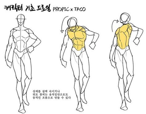 Concept Drawing, Taco Taco, Human Anatomy Drawing, 강아지 그림, Human Anatomy Art, Anatomy Sketches, Body Reference Drawing, 캐릭터 드로잉, Body Anatomy