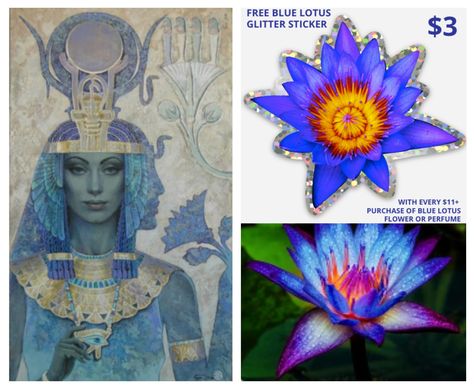 Blue Lotus Flower Benefits, Lotus Book, Perfume Blue, Fake Ft Call, Blue Lotus Flower, Black Royalty, Blue Perfume, Blue Lotus, Glitter Stickers