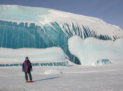 Imposing: Although this is not, as widely rumoured, a wave frozen while breaking, it is still an incredible phenomenon Frozen Ocean, Frozen Waves, Tsunami Waves, Tidal Waves, Mackinaw City, Waves Photos, Cool Nature, Tidal Wave, Lake Huron