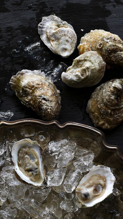 Seafood Photography, Oysters On The Half Shell, Dark Food, Raw Oysters, Fresh Oysters, Beautiful Food Photography, Food Photography Inspiration, Cap Ferret, Food Photography Styling