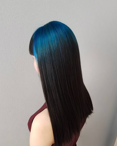 LOVING this cool blue root by @nanameuw- try our Blue Velvet + Eclipse Black for a similar look! #lunartides #bluehair Colored Roots With Black Hair, Colored Hair Roots, Blue Roots, Dark Purple Hair, Blue Black Hair, Dark Blue Hair, Black Ponytail Hairstyles, Dyed Natural Hair, Beautiful Hair Color