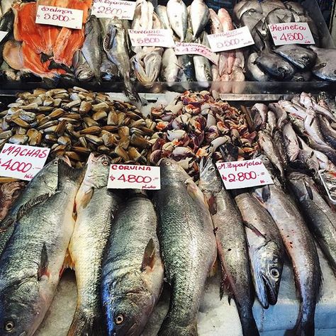 Lots of fish at the Mercado Central. #ka_onlocation Fish Butchery, Brixton Market, Fish Monger, Rotten Fruit, Parrot Fish, Central Market, Market Square, Fish Market, Ap Art