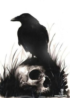 Raven and skull Fenrir Tattoo, Rabe Tattoo, Quoth The Raven, Crow Tattoo, Crow Art, Raven Tattoo, Raven Art, Raven Skull, Crows Ravens