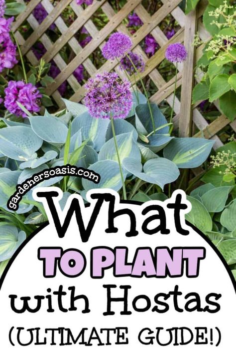 What To Plant With Hostas, Plant With Hostas, Best Landscaping Ideas, Hosta Flower, Shade Loving Shrubs, Shade Shrubs, Shade Garden Plants, Hosta Gardens, Hosta Plants