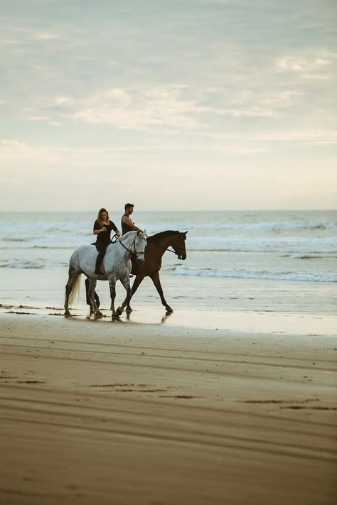 Horses On The Beach, Beach Horseback Riding, Horse Riding Aesthetic, Beach Rides, Free Horses, Horse Life, Trail Riding, Horse Pictures, Horse Girl