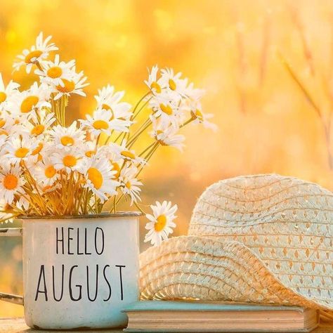 August New Month, Hallo August, Hello August Images, August Pictures, August Images, Welcome Images, All The Months, August Baby, Seasons Months