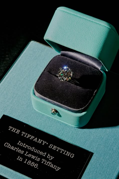 Tiffany And Co Engagement Ring, Tiffany Setting Ring, Life Visualization, Emoji Ring, Tiffany Diamond Ring, Tiffany Engagement, Tiffany Setting, Tiffany Engagement Ring, Tiffany Rings