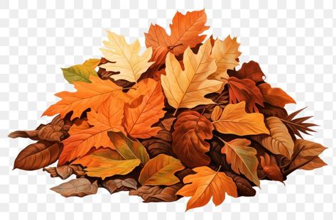 Autumn Template, Fall Leaves Background, Leaf Pile, Reference Pose, Leaves Png, Tree Png, Autumn Tree, Leaves Autumn, Painting Inspo