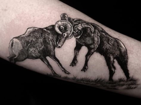 Raw power and intricate detail collide in @jenskinart's signature black and gray tattoo, featuring two massive rams butting heads. A majestic display of strength and artistry in ink. 🐏🖤⁠ Rams Tattoo, Ram Tattoo For Men, Black And Gray Tattoo, Him And Her Tattoos, Gray Tattoo, Ram Tattoo, Mama Tried, Cool Chest Tattoos, Chest Tattoos