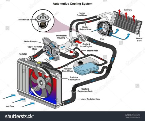 Automotive Cooling System infographic diagram showing process and all parts included radiator hoses coolant flow thermostat fan tank and air flow for mechanic and road traffic safety science education #Ad , #spon, #parts#process#included#hoses System Infographic, Infographic Diagram, Road Traffic Safety, Motor Mechanics, Car Facts, Refrigeration And Air Conditioning, Automobile Engineering, Automotive Mechanic, Automotive Engineering