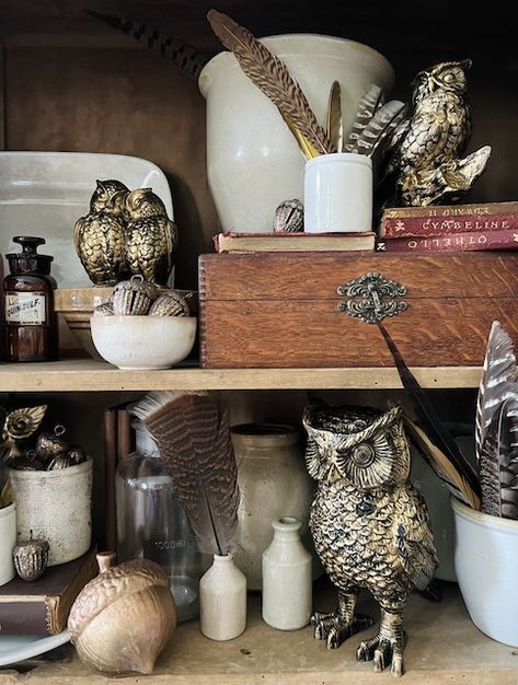 My Weathered Home, Rub And Buff Projects, Owl Decor For Home, Vintage Owl Art, Naturalist Decor, Vintage Owl Decor, Owl Wall Art Room Decor, Rub N Buff, Antique Booth Displays