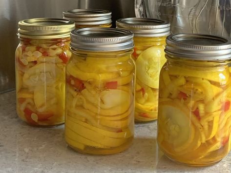 Pickled Squash Recipe Canning Yellow Squash, Pickled Squash Recipe, Pickled Squash, Squash Pickles, Canning Squash, Carolina Bbq Sauce, Summer Squash Recipes, Yellow Squash Recipes, Home Canning Recipes