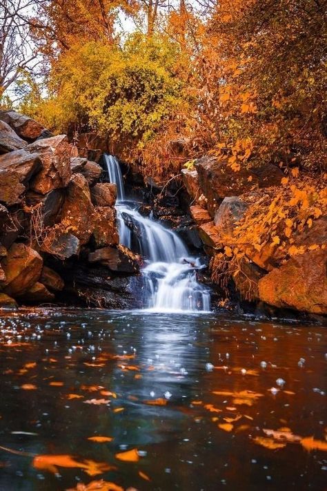 Autumn Waterfalls, Hidden Beauty, Waterfall Photography, Autumn Scenes, 수채화 그림, Airbrush Art, Autumn Scenery, Beautiful Images Nature, Beautiful Waterfalls