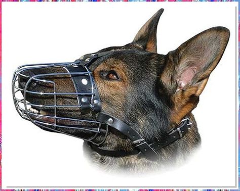 Looking for the perfect way to keep your furry friend safe and stylish? Check out our top dogs muzzles collection! From breathable designs to trendy patterns, we have everything you need to keep your pup looking their best while staying secure. Shop now and give your dog the protection they deserve. Dog Muzzles, Ray Allen, Dog Muzzle, Puppy Face, Dog Safety, Wire Basket, Training Tools, Wire Baskets, Pet Safe