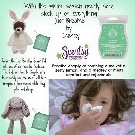 Scentsy Consultant Marketing, Scentsy Hacks, Scentsy Australia, Scentsy Pictures, Scentsy Consultant Business, Scentsy Flyers, Scentsy Posts, Scentsy Facebook Party, Scentsy Facebook