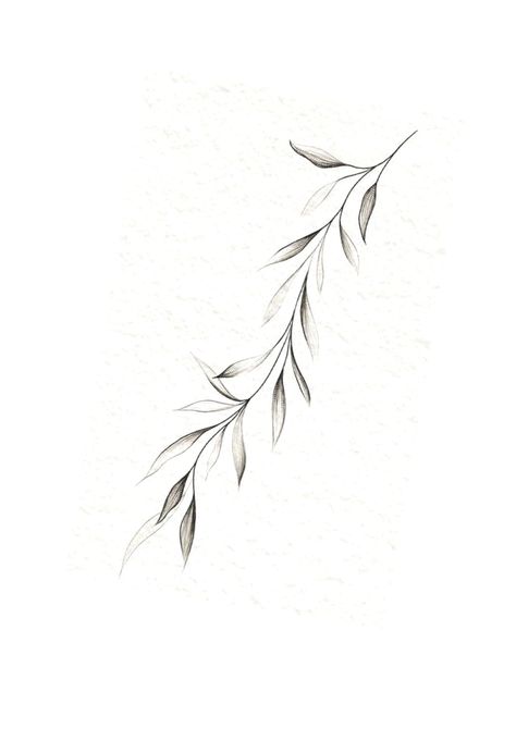 Willow Leaf Tattoo Arm, Simple Branch Tattoo, Leaf Tattoo Under Breast, Flora Tattoos For Women, Willow Tree Leaves Tattoo, Zweig Tattoo, Willow Leaves Tattoo, Vine Leaf Tattoo, Fine Line Olive Branch Tattoo