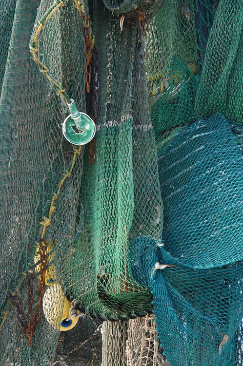 Descendants Dr, Foto Macro, Salt Water Fishing, Fishing Nets, Fishing Net, Aqua Turquoise, Arte Popular, Descendants, Color Textures