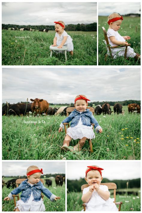 Forget the smash cakes, this first birthday photo session is as adorable as they come. Girl first birthday photos with cows on the farm. One Year Farm Photoshoot, Farm Birthday Photo Shoot, Farm First Birthday Pictures, Cow 1st Birthday Pictures, Cowgirl First Birthday Pictures, First Birthday Farm Photoshoot, Outside Baby Photoshoot, Farm Theme Photo Shoot, Cow Birthday Pictures