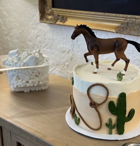 Cowboy Hat Birthday Cake, Cowboy First Birthday Cake, Cowboy Cakes For Boys, Cowboy Smash Cake, Cowboy Cake Smash, Cowboy Hat Cake, Western Theme Cakes, Rodeo Cake, 2nd Birthday Cake Boy