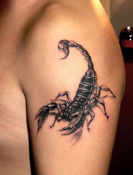 Realistic Scorpion Tattoo Lion Tattoo Meaning, Tato 3d, Best 3d Tattoos, Scorpio Tattoo, Tattoo Trend, Scorpion Tattoo, Tattoos Geometric, 3d Tattoos, Most Popular Tattoos