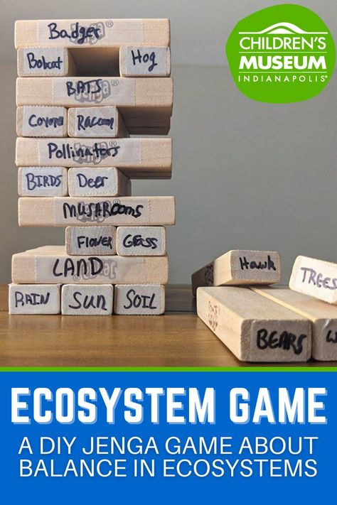 Make your own ecosystem Jenga game to help teach about the balance needed in biomes. Great for an Earth Day Lesson Plan or Biodiversity lesson. This Ecosystem game for kids is easy to put together. Biome Activities, Ecosystem Stem Activities, Biodiversity Activities, Create An Ecosystem Project, Know Your Ecosystem Project, Ecosystem Activities 3rd, Ecosystems Activities, Ecosystem Activities Middle School, Teaching Biomes