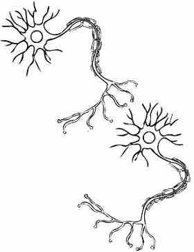 Nerve Cell Tattoo, Neuroscience Tattoo Psychology, Synapse Neurons Art, Neuron Tattoo, Neurons Art, Physics Tattoos, Psychology Tattoo, Brain Artwork, English Illustration