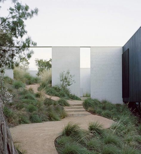 Internal Courtyard, True Homes, Masonry Wall, Australian Architecture, Floating House, Timber House, Luz Natural, Local Design, Coastal Homes