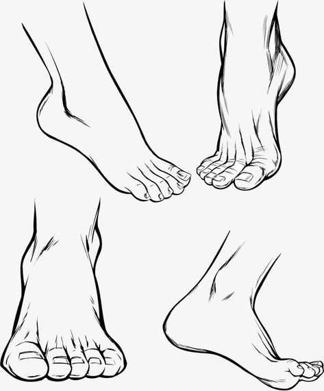 Human Feet Drawing, Ankle Drawing Reference, Front View Feet Drawing Reference, Legs And Feet Drawing Reference Female, Feet Anatomy Drawing Art Reference, Feet Reference Drawing Step By Step, Drawing Feet Front View, Feet Anatomy Drawing, Feet Reference Drawing Squat