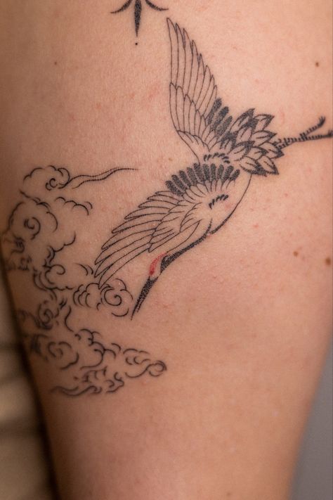 China Plate Tattoo, Crane Flower Tattoo, Crain Bird Tattoo, Crane Neck Tattoo, Crane And Cherry Blossom Tattoo, Starling Bird Tattoo, Crane Leg Tattoo, Whooping Crane Tattoo, Secretary Bird Tattoo