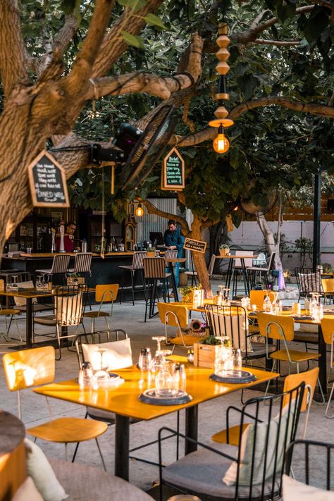 Planning a trip to Limassol? In that case, one of the first things to look for is a good restaurant, right?! Namaste Indian Restaurant, Best Places In Cyprus, Country Sides, Summer Time Activities, Cyprus Island, Cypriot Food, Cyprus Travel, Visit Cyprus, Limassol Cyprus