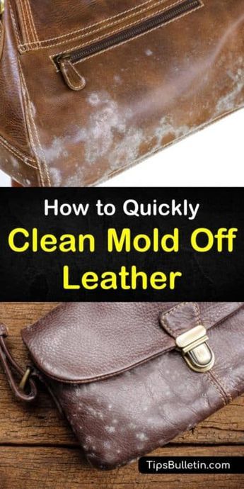 Clean Leather Purse, Cleaning Mold, Homemade Cleaning Solutions, Homemade Cleaning Products, Household Cleaning Tips, Mold Remover, Cleaning Recipes, Cleaners Homemade, Tile Ideas