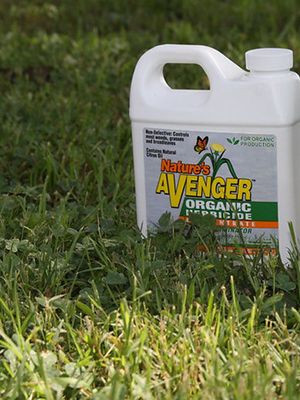 Herbicides - Gardening Solutions - University of Florida, Institute of Food and Agricultural Sciences Weeds In Lawn, Agricultural Science, Garden Solutions, Invasive Plants, University Of Florida, Plant Growth, Types Of Plants, Mulch, Ecology