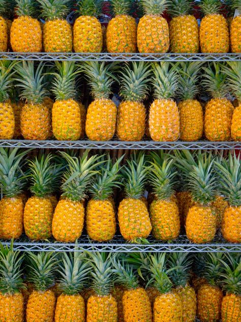 Pineapple Pictures, Growing Pineapple, Hd Wallpapers For Pc, Babymoon Destinations, Ripe Pineapple, Pineapple Sage, Pineapple Images, Fruit Wallpaper, Pineapple Fruit