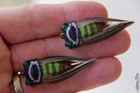 7 Cicada Fly Patterns for an Amazing Hatch Tiger Fish, Jeremy Wade, Aquatic Insects, Fly Fishing Flies Pattern, Mayfly, Saltwater Flies, Lure Making, Smallmouth Bass, Fly Fishing Gear