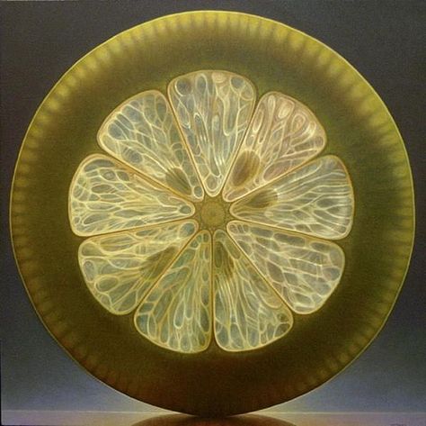 Ohio-based artist Dennis Wojtkiewicz [voyt-KEV-itch] Dennis Wojtkiewicz, Lemon Vodka Drinks, Circles In Nature, Water Aesthetic, Lemon Drink, Lemon Decor, Fruit Painting, Realistic Paintings, Photorealism