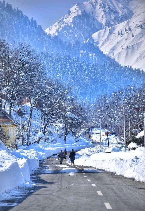 Beautiful view of Hirpora village Shopian kashmir .... 2022 winter☃️ #shopian #MuhgalRoad...🚗 Click by.. #imuimran Kashmir In Winter, Kashmir Winter, Nature Vibes, Beautiful View, My Photo Gallery, Beautiful Views, Photo Gallery, Collage, Photography