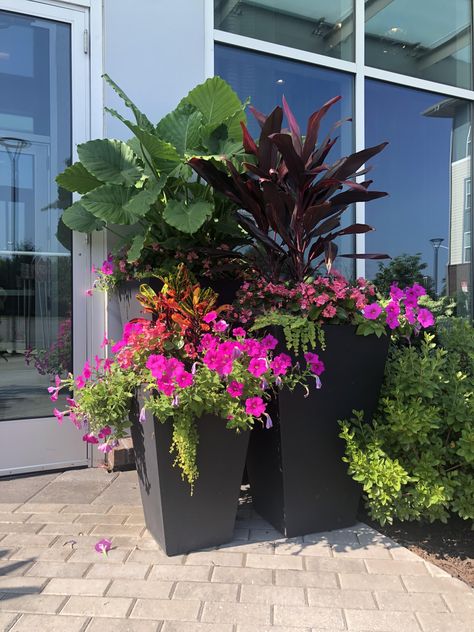 Large tropical plants in commercial outdoor container pots with bright pink flowers at the base Rooftop Planters, Modern Planters Outdoor, Diy Planters Outdoor, Franklin Homes, Commercial Landscaping, Large Flower Pots, Flower Pots Outdoor, Rustic Outdoor, House Landscape